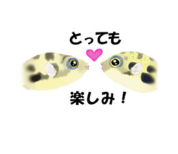 Dwarf pufferfish fugupan sticker #2053753