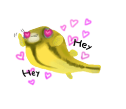 Dwarf pufferfish fugupan sticker #2053754