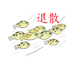 Dwarf pufferfish fugupan sticker #2053758