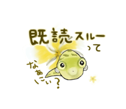 Dwarf pufferfish fugupan sticker #2053772