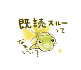 Dwarf pufferfish fugupan sticker #2053772