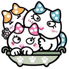 Cute cats like into the pot.