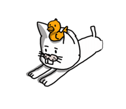 Cat sometimes chick sticker #2057313