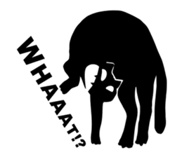 CutCat sticker #2060195