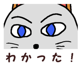 cloth cat sticker #2061626