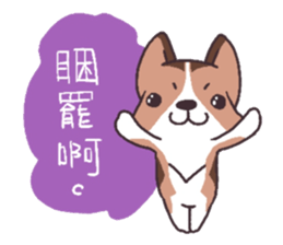 Corgi of OldV sticker #2063214