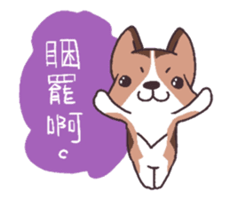 Corgi of OldV sticker #2063214