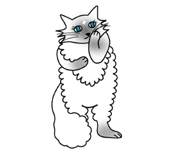 White cat Riri sticker #2065218
