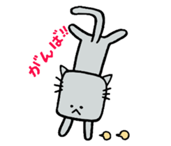 The cat of a square face. sticker #2065417