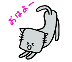 The cat of a square face. sticker #2065439