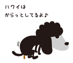 Black Toy Poodle  Sheep dog sticker #2071534