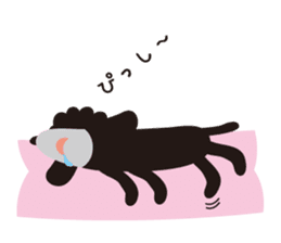 Black Toy Poodle  Sheep dog sticker #2071537