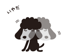 Black Toy Poodle  Sheep dog sticker #2071552