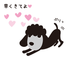 Black Toy Poodle  Sheep dog sticker #2071553