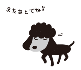 Black Toy Poodle  Sheep dog sticker #2071556