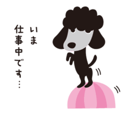Black Toy Poodle  Sheep dog sticker #2071557