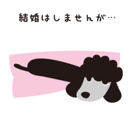 Black Toy Poodle  Sheep dog sticker #2071559