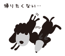 Black Toy Poodle  Sheep dog sticker #2071570