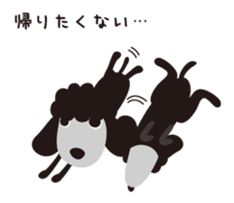Black Toy Poodle  Sheep dog sticker #2071570