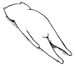 Futeneko(OFFICIAL) sticker #2074190