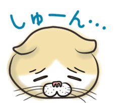 Cat Looks sticker #2076735