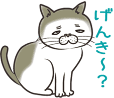 Cat Looks sticker #2076736