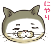 Cat Looks sticker #2076738