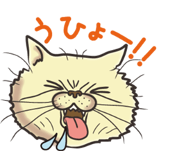 Cat Looks sticker #2076742