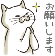 Cat Looks sticker #2076743