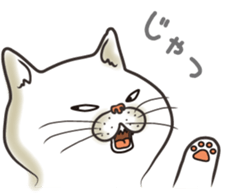 Cat Looks sticker #2076744