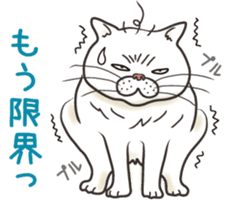 Cat Looks sticker #2076746