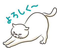 Cat Looks sticker #2076753