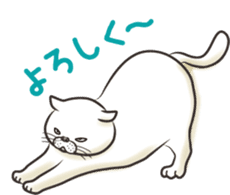 Cat Looks sticker #2076753