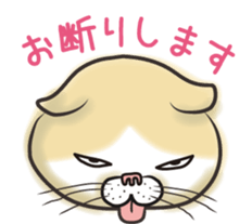 Cat Looks sticker #2076756