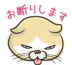 Cat Looks sticker #2076756