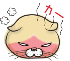 Cat Looks sticker #2076758