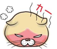 Cat Looks sticker #2076758