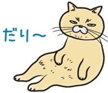 Cat Looks sticker #2076759