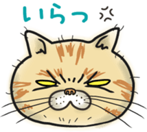 Cat Looks sticker #2076761