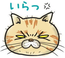 Cat Looks sticker #2076761