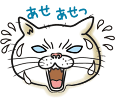 Cat Looks sticker #2076765