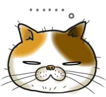 Cat Looks sticker #2076768