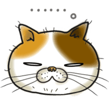 Cat Looks sticker #2076768