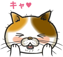 Cat Looks sticker #2076770