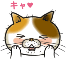 Cat Looks sticker #2076770