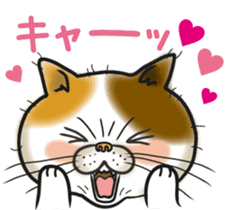 Cat Looks sticker #2076771