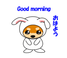 Mameshiba rabbit sticker #2077854