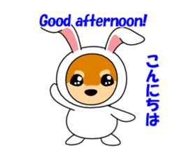 Mameshiba rabbit sticker #2077855