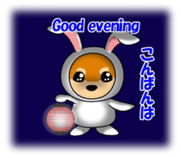 Mameshiba rabbit sticker #2077856