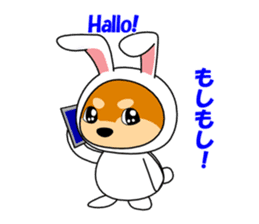 Mameshiba rabbit sticker #2077857